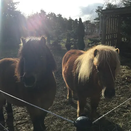 Ξενοδοχείο Zu Jeddelohs